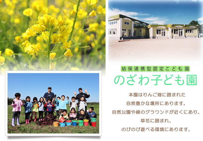 幼保連携型認定こども園　のざわ子ども園